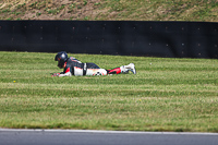 enduro-digital-images;event-digital-images;eventdigitalimages;no-limits-trackdays;peter-wileman-photography;racing-digital-images;snetterton;snetterton-no-limits-trackday;snetterton-photographs;snetterton-trackday-photographs;trackday-digital-images;trackday-photos